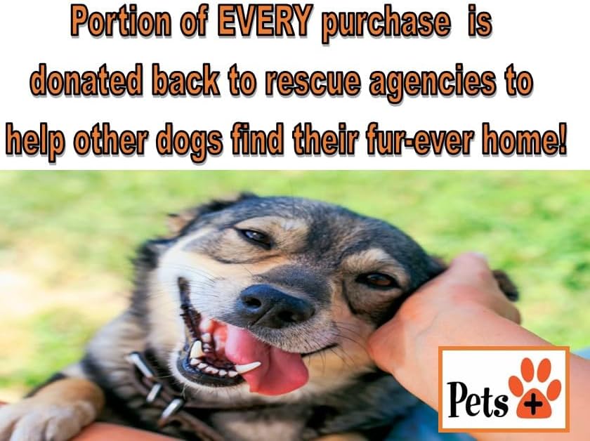 Pets Plus Beef Trachea Dog Chews – 6-Inch, Medium Size, 2 Pack | All-Natural, Grain-Free, High-Protein Dog Treats, Long-Lasting Chews for Dental Health & Joint Support