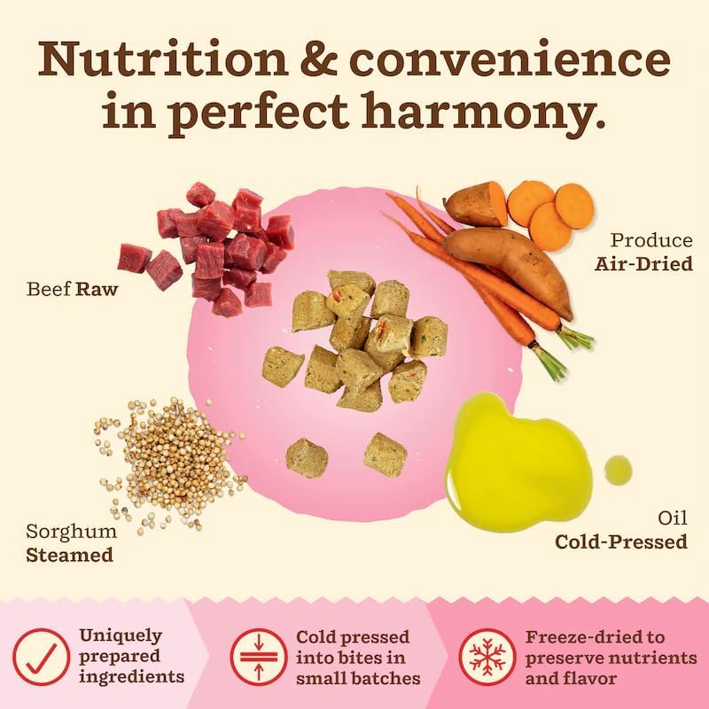 Primal Kibble in The Raw, Freeze Dried Cat Food, Beef, Scoop & Serve, Made with Raw Protein, Whole Ingredient Nutrition, Crafted in The USA, Dry Cat Food, 24 Ounce (1.5 lb) Bag