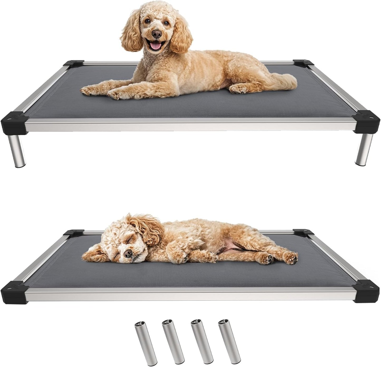FXW TitanNest Chew-Proof Elevated Dog Bed, Raised Cot for Indoor/Outdoor/Camping Use, Durable & Washable Padded Pet Bed for Small Dogs, 35.0" L x 22.0" W x 4.5" H, Gray