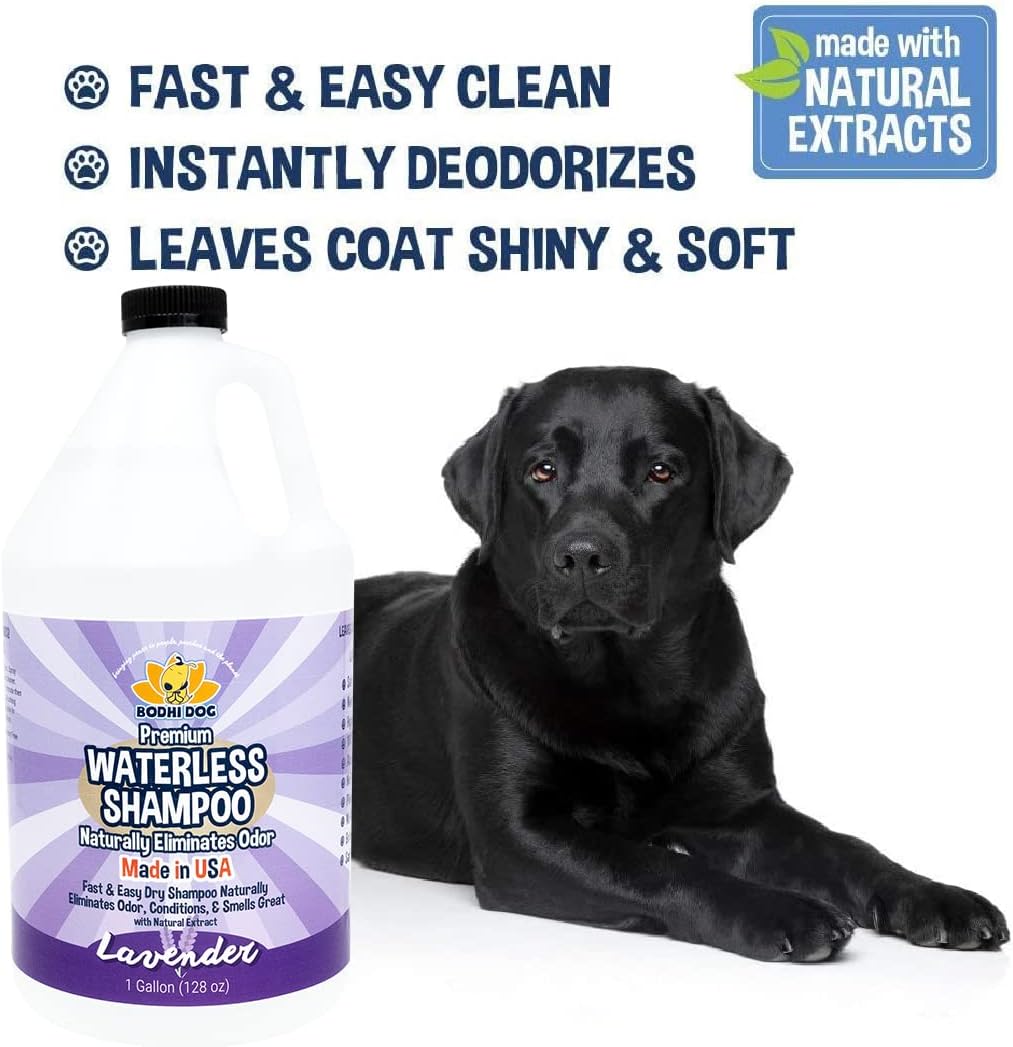 Bodhi Dog Waterless Shampoo - Natural Dry Shampoo for Dogs & Cats - Neutralizes Pet Odor - No Rinse Required - Made of Natural Extracts - Safe for Sensitive Skin - Made in USA - Lavender (1 Gallon)
