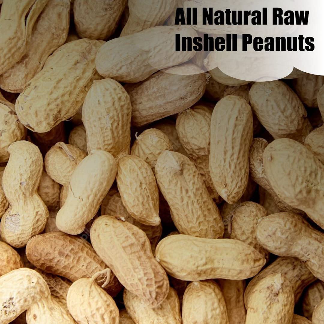 Wildlife in-Shell Peanuts, 25 lbs for Birds, Squirrels, and Wildlife. USA Grown Non-GMO, Organic Small Farm, Raw in-Shell Peanuts. Wildlife Grade, 25 lbs.