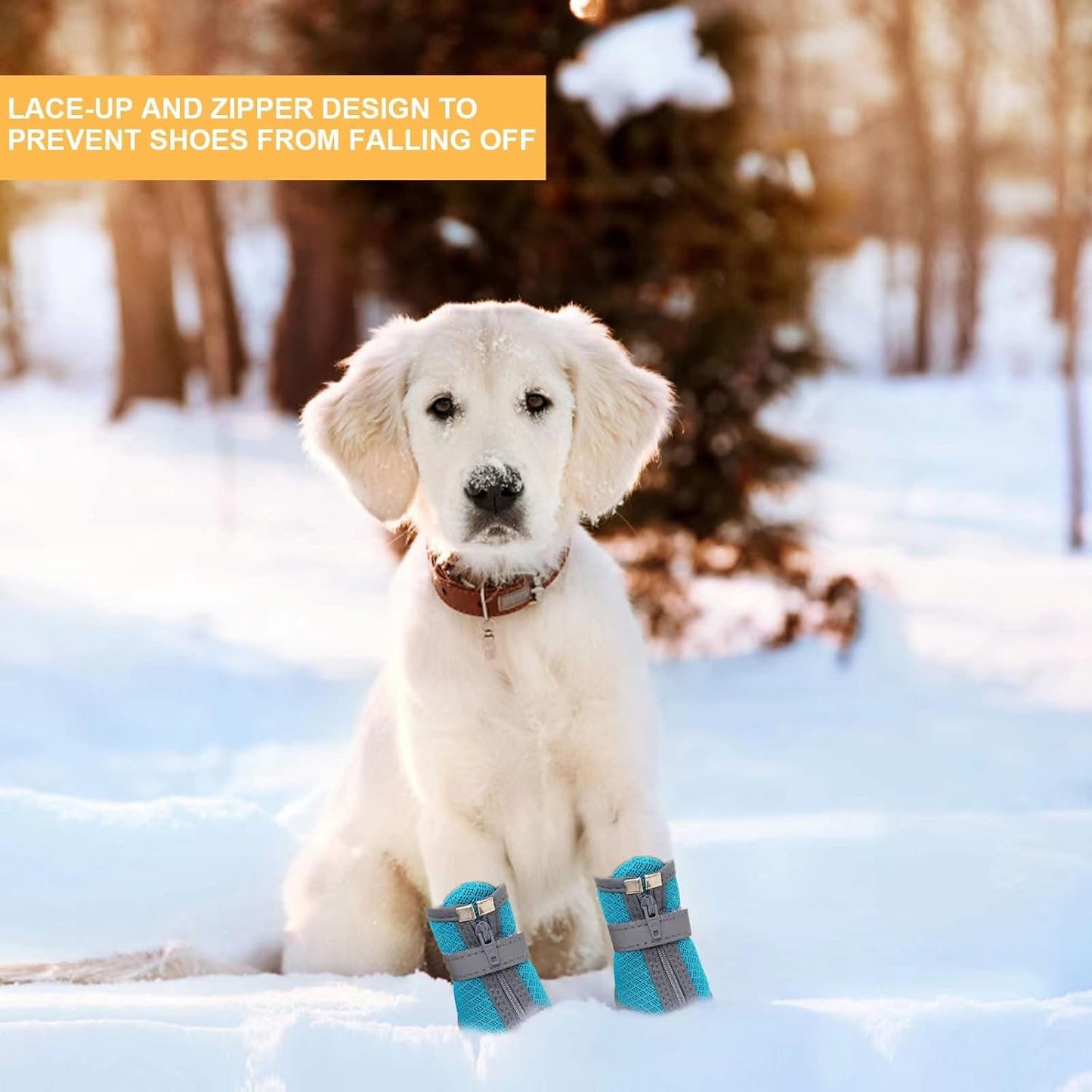 Dog Shoes for Small Dogs, Puppy Dog Boots & Paw Protector for Winter Snow Day, Summer Hot Pavement, Waterproof in Rain Weather, Ourdoor Hiking, Indoor Hardfloors with Anti Slip Sole 4PCS