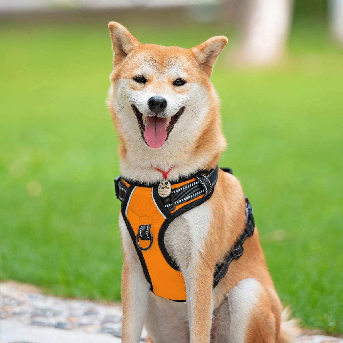 PoyPet No Pull Dog Harness, Reflective Comfortable Vest Harness with Front & Back 2 Leash Attachments and Easy Control Handle Adjustable Soft Padded Pet Vest for Small to Large Dogs (Orange,XL)