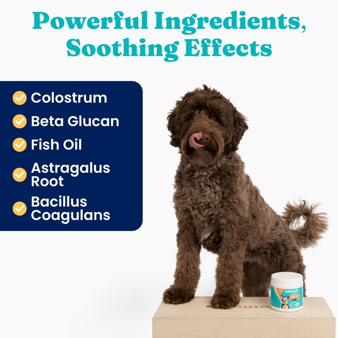 Solid Gold Dog Allergy Relief Chews - Dog Itching Skin Relief & Seasonal Allergies Support - Alaskan Salmon Oil for Dogs Skin, Coat & Immune Support - Bacon Flavor Soft Allergy Chews for Dogs -120ct