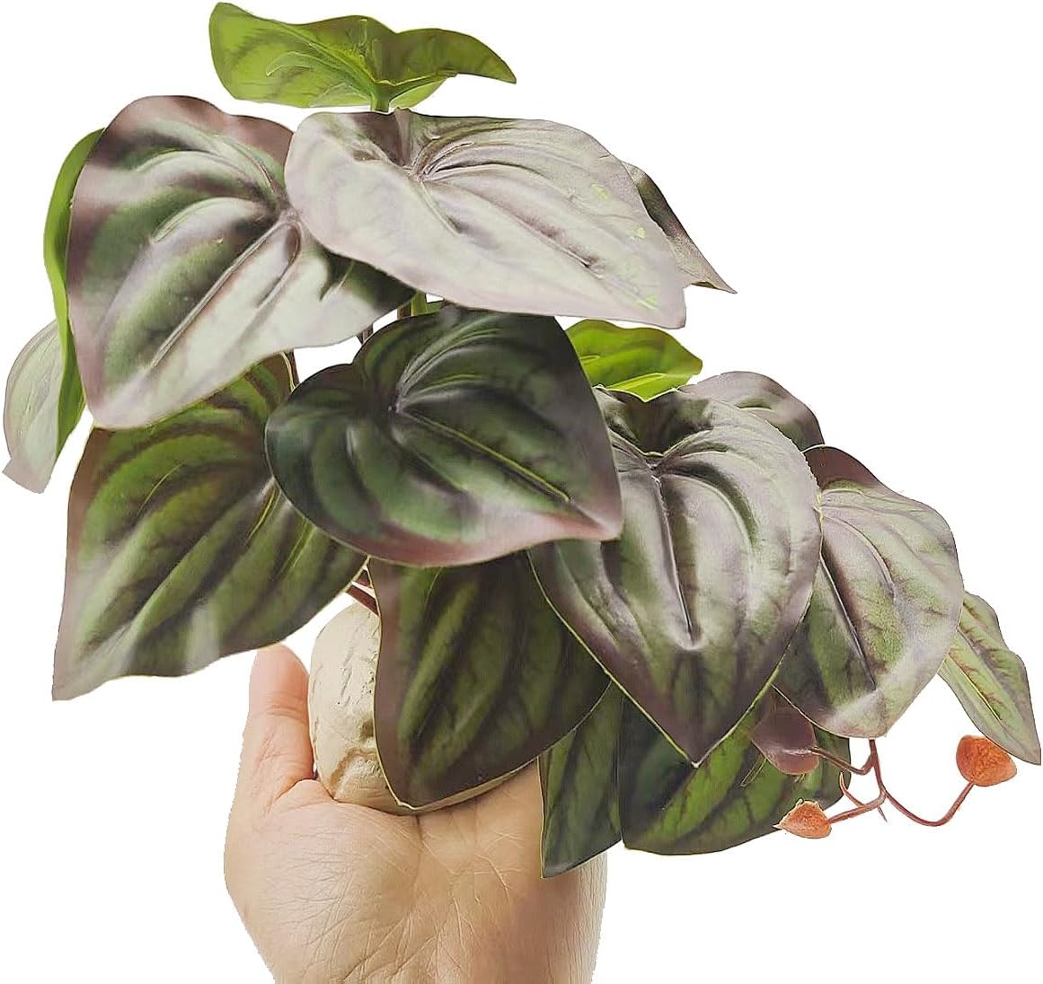 Reptile Plants for Terrarium Decor,Amphibian Habitat Decor,Artificial Plants for Gecko Chameleon Snake Tortoise Tank Accessories with Base (red Watermelon peperomia)