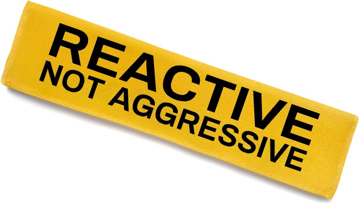 Reactive Dog Leash Sleeve - Funny Yellow Wrap with 'Do Not Pet' Patch - Alert Hanging ID Tag - Perfect for Dog Owners