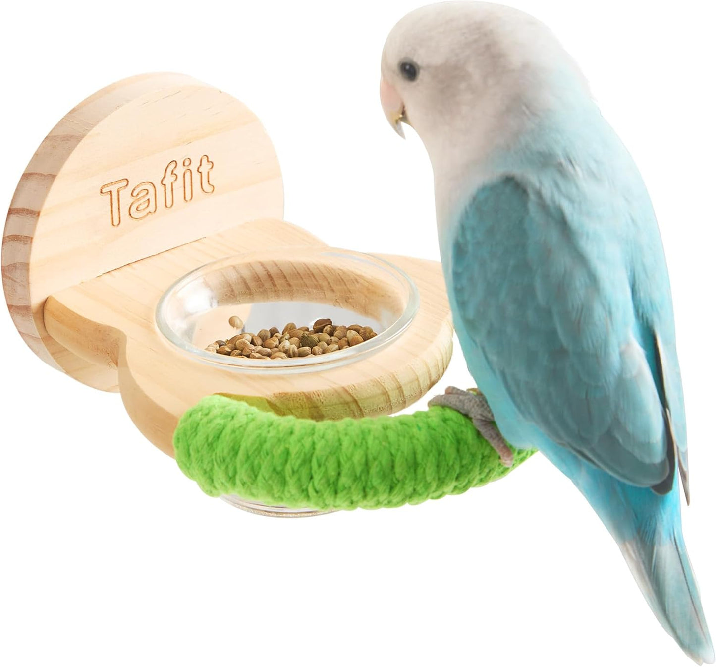 Bird Feeder & Perch – Includes Cotton Rope Perch and Glass Feeding Cup – Cage Accessory for Cockatiels, Budgies, Lovebirds, Conures, Canaries, Finches, and Small Parrots
