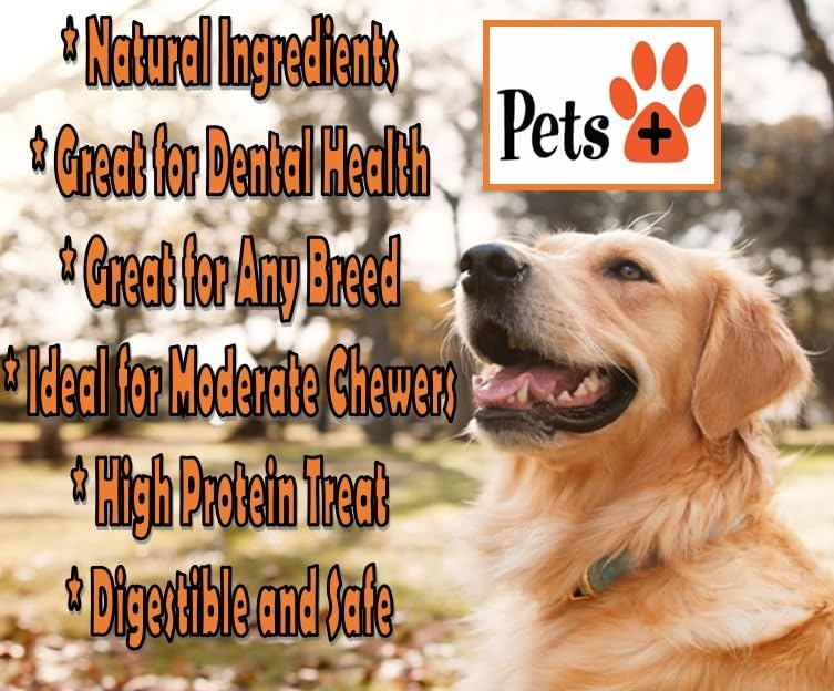 Pets Plus Premium Dog Treats – Lamb Lung Wafers, 8 oz | All-Natural, High-Protein, Grain-Free Dog Treats, Healthy Training Rewards & Crunchy Chews