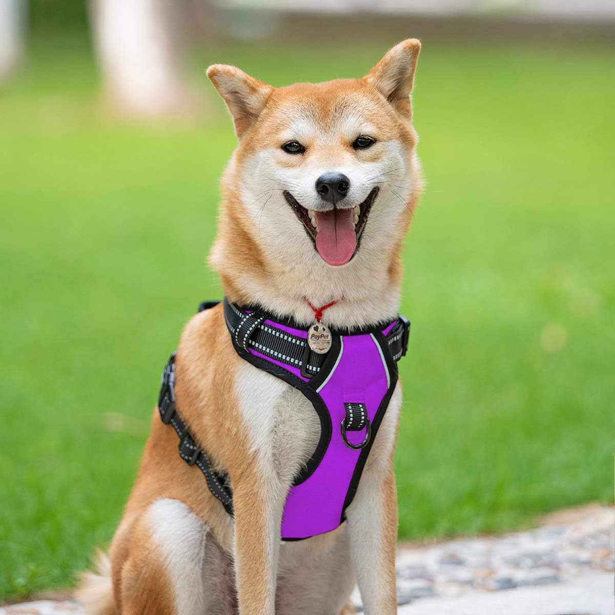 PoyPet No Pull Dog Harness, Reflective Comfortable Vest Harness with Front & Back 2 Leash Attachments and Easy Control Handle Adjustable Soft Padded Pet Vest for Small to Large Dogs (Purple,XS)