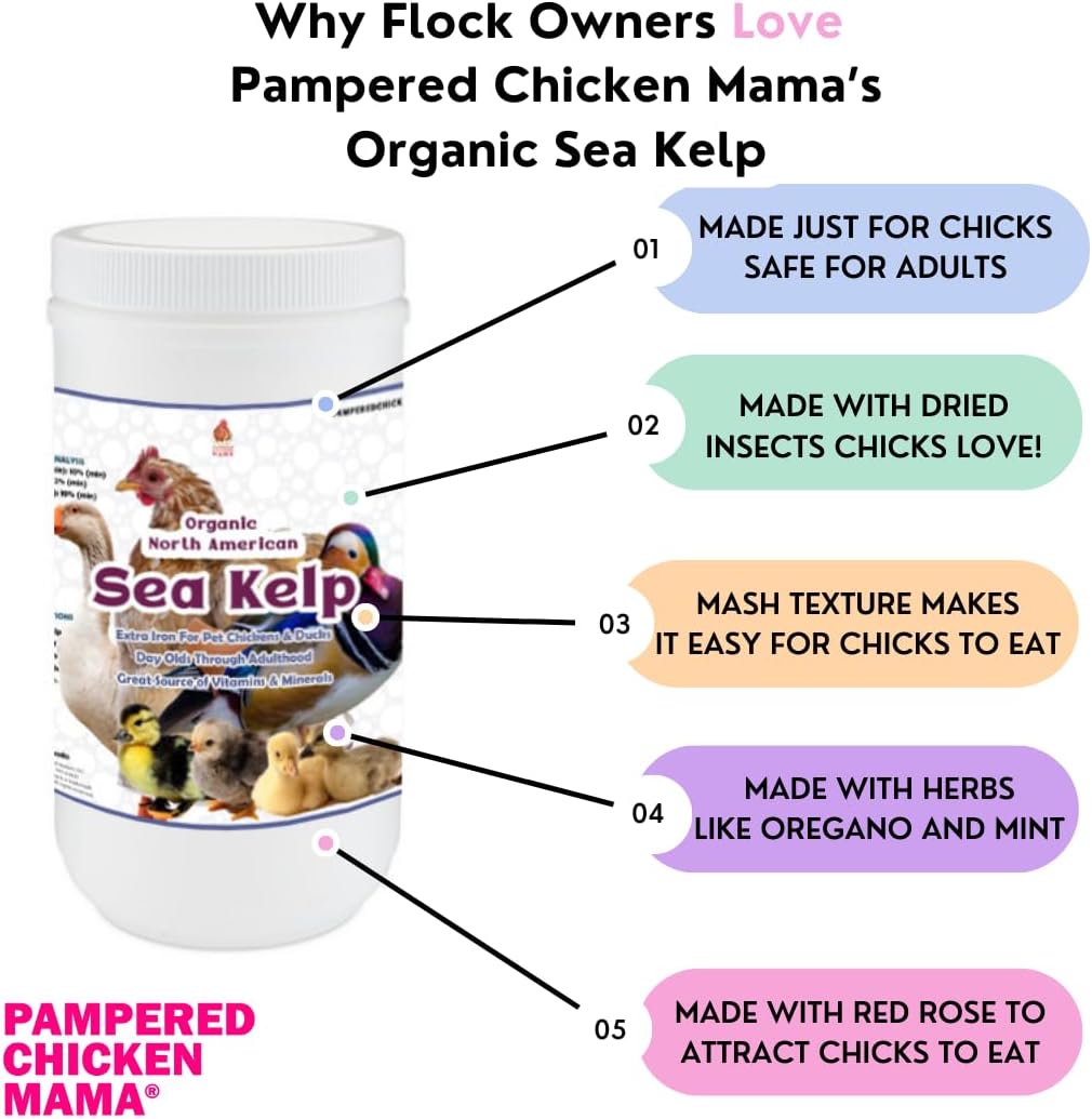 Organic Kelp for Chickens & Duck Feed (5 Pound): Chicken Vitamins | Chicken Supplements | Vitamins for Chickens | Pampered Chicken Mama
