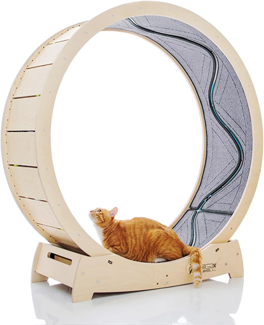 Star Cat Wheel, Cat Treadmill, Exercise Wheel for Running, Spinning, Scratching, and Climbing for Indoor Cats, Premium Birch Wood, Eco-Friendly, Moving Fish, Wide Running Track, 41.7 inch L Size