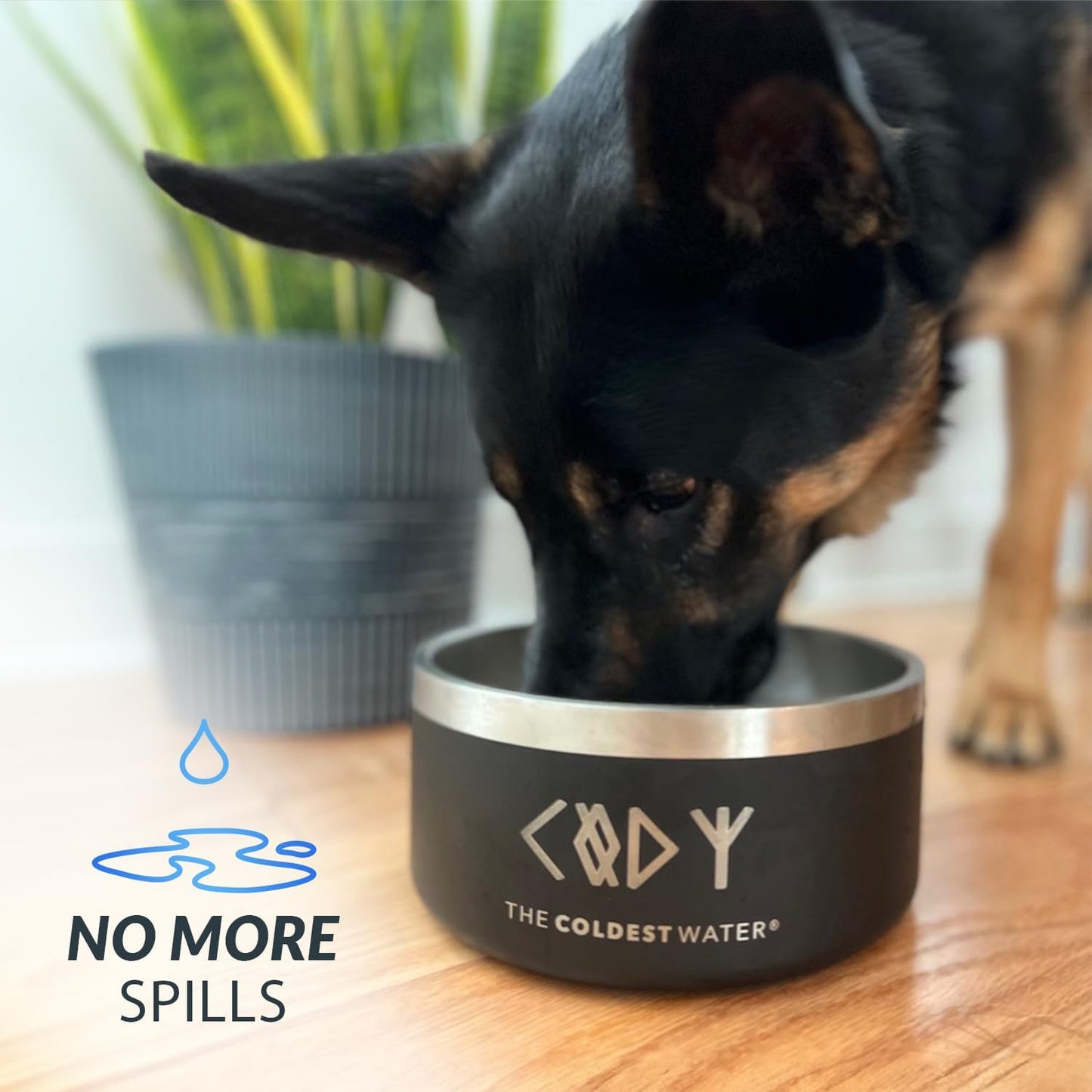 Coldest Dog Bowl - Anti Rust Metal, Non Slip, 3 Layers Insulated Stainless Steel Dog Bowls - Spill Proof & Heavy Duty - Water Bowl for Dogs, Cats & Pets, Dish Washer Safe (42 oz, Celestial Blue)