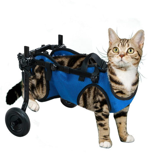 Pet Wheelchair for Leg Support Helps Senior， Wheelchair for Back Legs，Adjustable Pet Cart，Assist a paralyzed pet get Back on its feet，Support Leg Brace and Hip(Small)