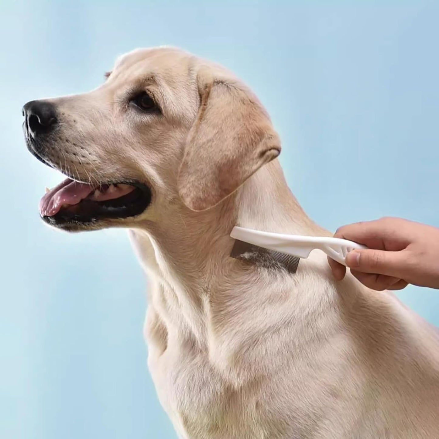 4 in 1 Cat Grooming Brush Self Cleaning Slicker Brush Dematting Tool for Dogs & Cats Haired Pets Skin Friendly, Deshedding Tool, Suitable for Pet Supplies Accessories, Blue