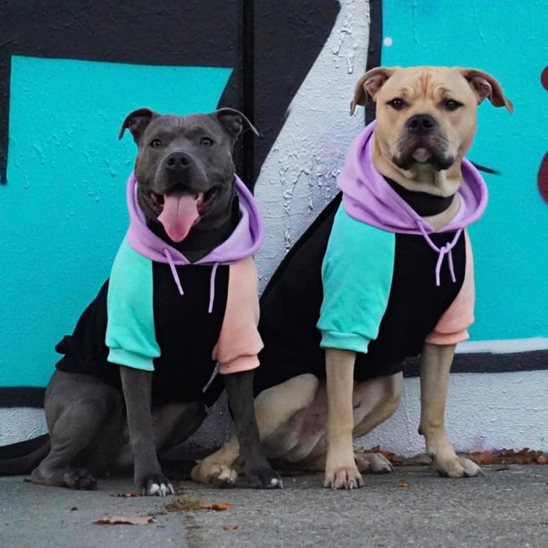 Spark Paws Dog Hoodie – Premium Dog Sweater for Small, Medium, and Large Dogs | Warm Outfits for French Bulldogs, Pitbull, Puppy, Winter Jacket Alternative - Cyber Punk - 5XL