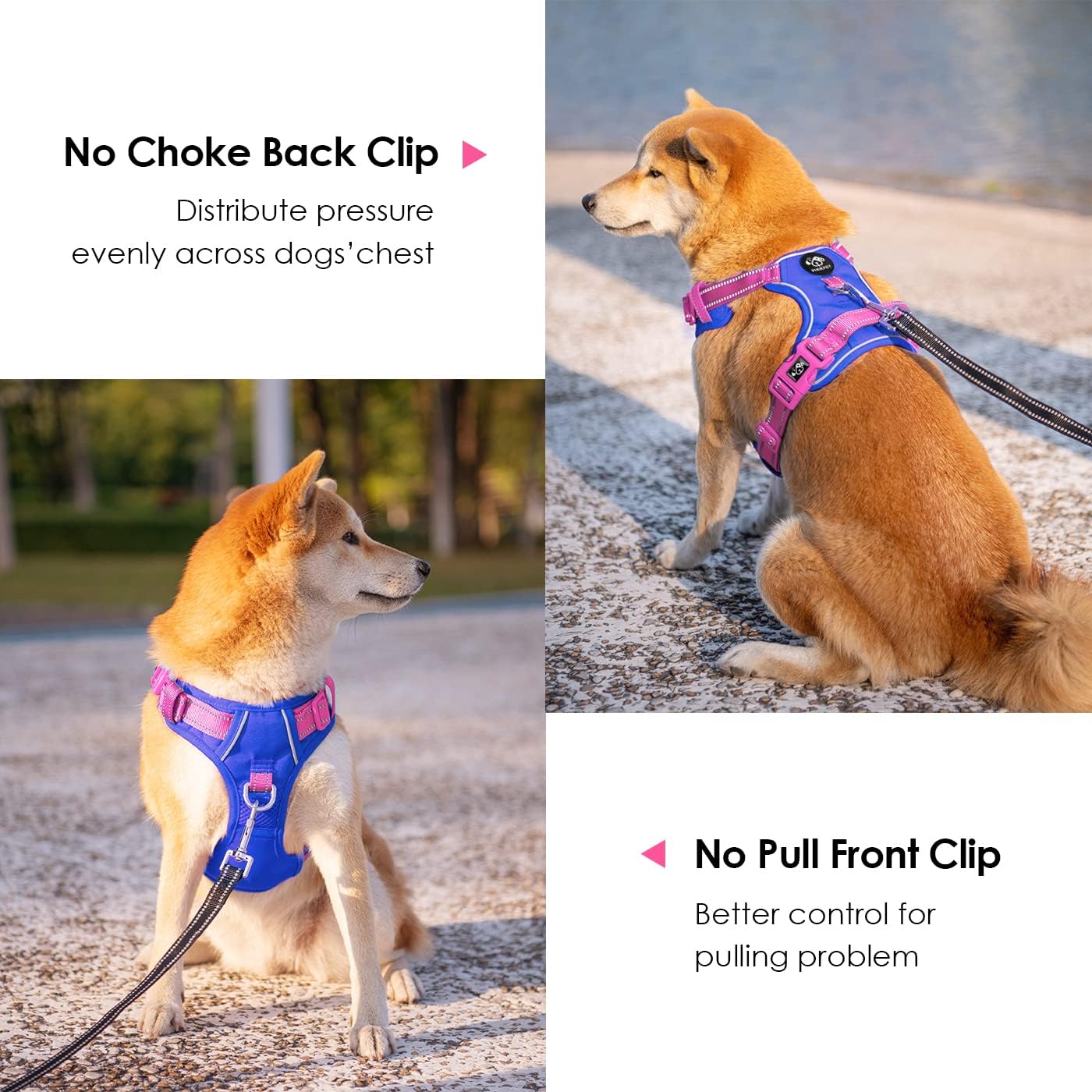 PHOEPET No Pull Dog Harness, Unique Colors Reflective Adjustable Dog Vest, with Soft Training Handle Metal Clips for Small Medium Large Dogs (Royal Blue Base & Pink Straps,M)