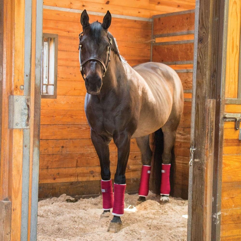 Dura-Tech Standing Wraps for Horses | Color Red | Optimal Comfort & Support | Ideal for Post-Exercise & Trailering | Right Tension Application | Secure Closure