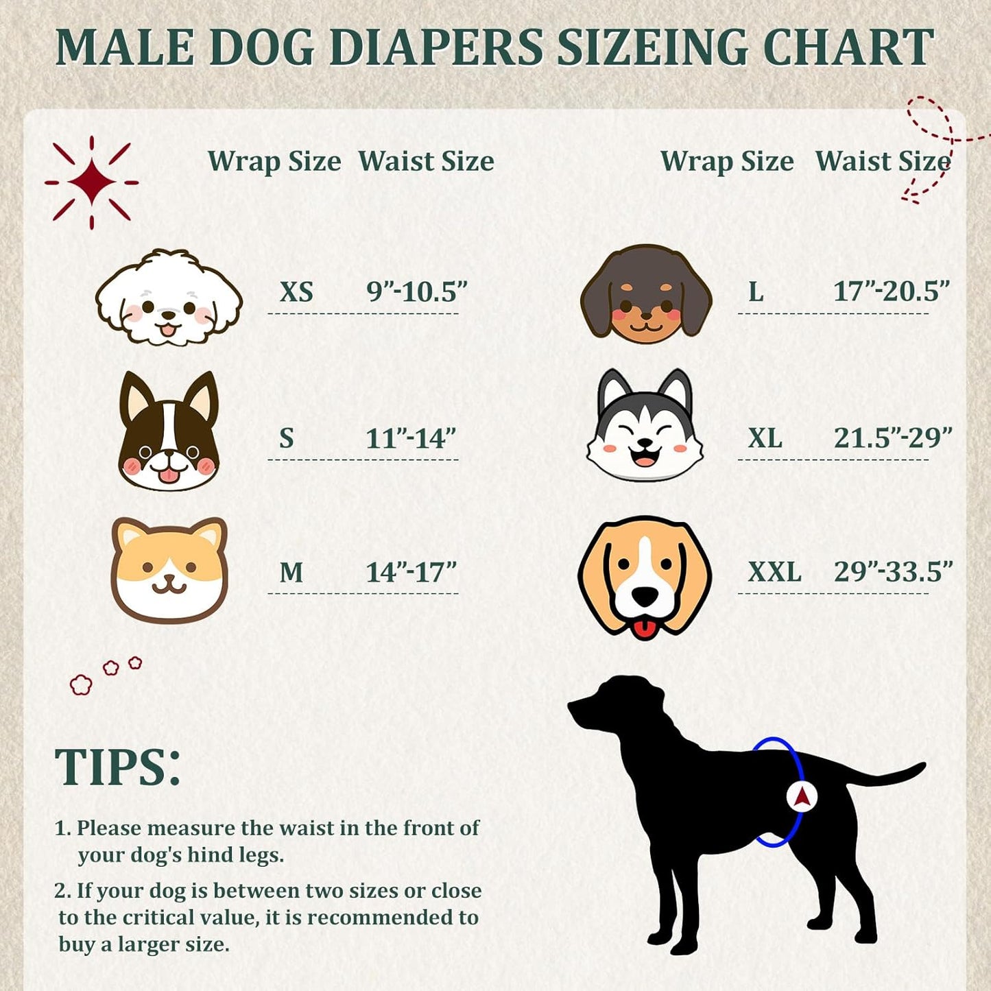 Reusable Dog Diapers Male, Premium Washable Belly Bands for Male Dogs, Pack of 5, High Absorbing Small Male Dog Wraps for Doggie & Puppy in Incontinence or Excitable Urination and Training(S)