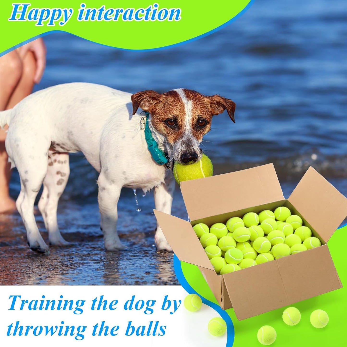 Skylety 100 Pcs 2.5 inch Squeaky Tennis Balls Bulk for Dogs Bouncy Floatable Tennis Balls Dog Playing Supplies Training Interactive Fetch Toys for Small Medium Puppy Exercise and Practice (Green)