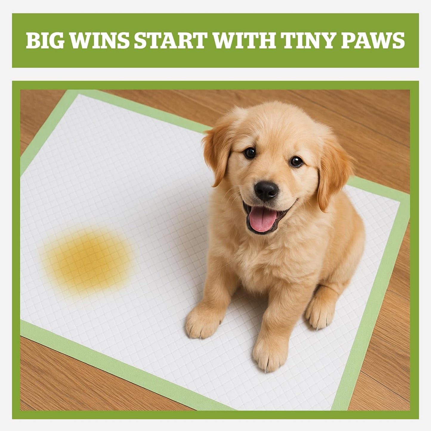 Pogi’s Dog Pads with Sticky Tabs – Large, Super Absorbent, Odor Blocking, 40-Count (24x24in)