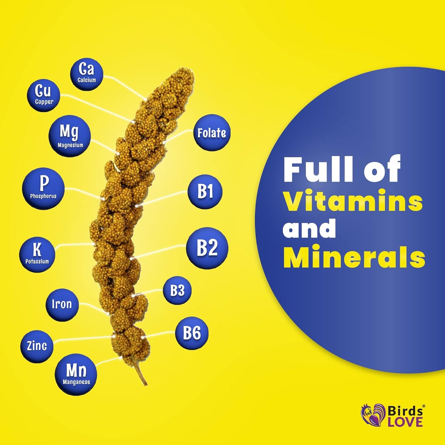 Birds LOVE Economy & Thin Special Spray Millet GMO-Free (No Stems Only Edible Tops) for Birds Cockatiel Lovebird Parakeet Finch Canary All Parrots Healthy Treat - 25lbs