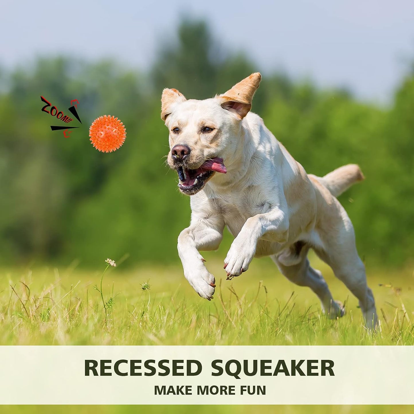 Petizer 3-Pack 3.5" Squeaky Dog Toy Balls - Floating Pool Balls, Spiky Interactive Fetch Toys for Puppy, Chew Toys - Safe, BPA Free