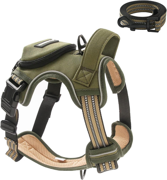 No Pull Dog Harness for Small Dogs, Adjustable No Choke Pet Vest with Dog Leash Fit Smart Reflective Pet Walking Harness for Training Easy Control Soft Handle Green S