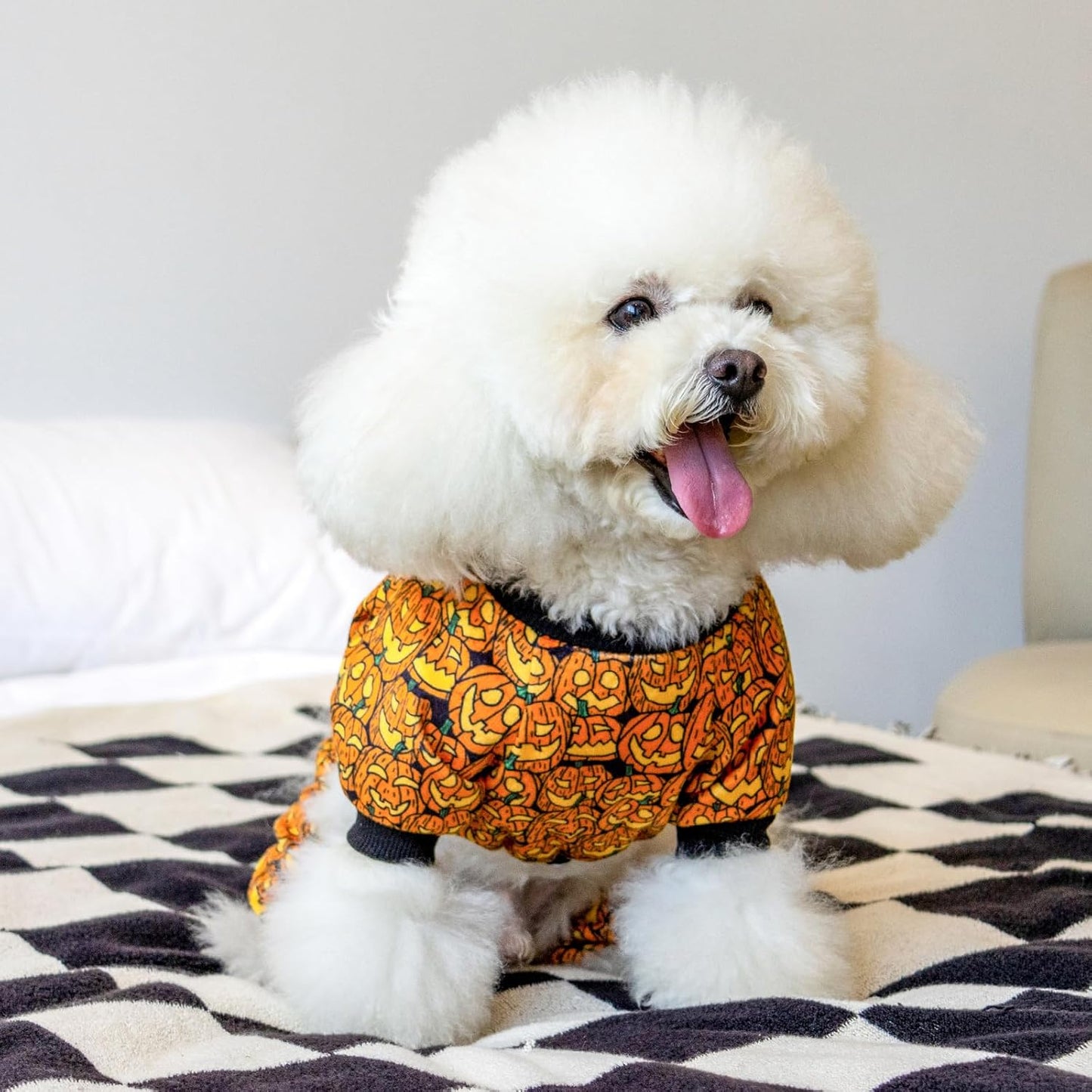 CuteBone Dog Halloween Pajamas Puppy Onesies Small Dogs Soft Pjs Coat Cat Apparel Comfy Pet Christmas Clothes Outfit Doggie Bodysuit P301L