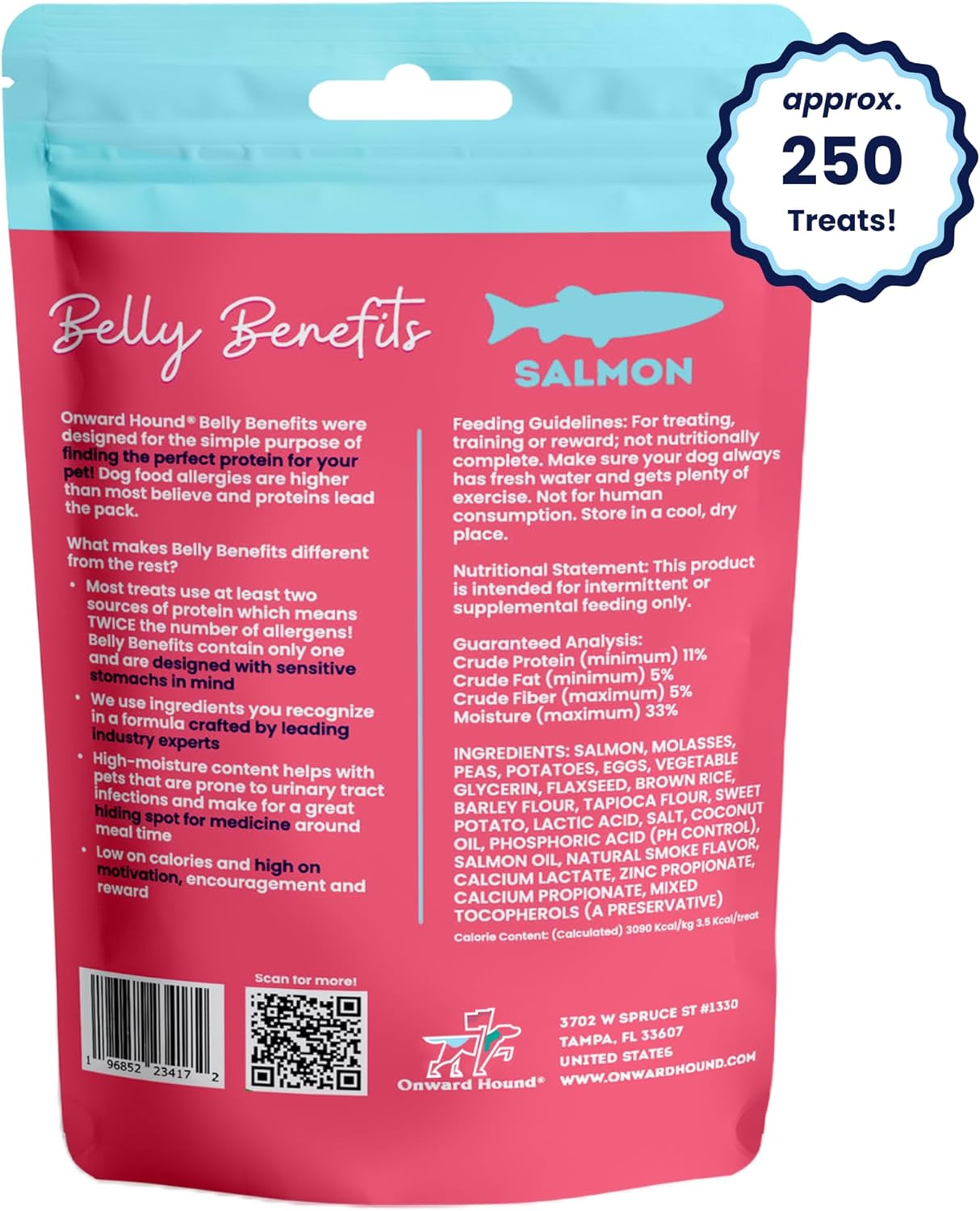 Onward Hound Training Treats for Dogs - Soft Salmon - Low Calorie Dog Training Treats for Sensitive Stomachs with Single Source Premium Protein, Corn Free, & Soy Free Formula - 10 oz