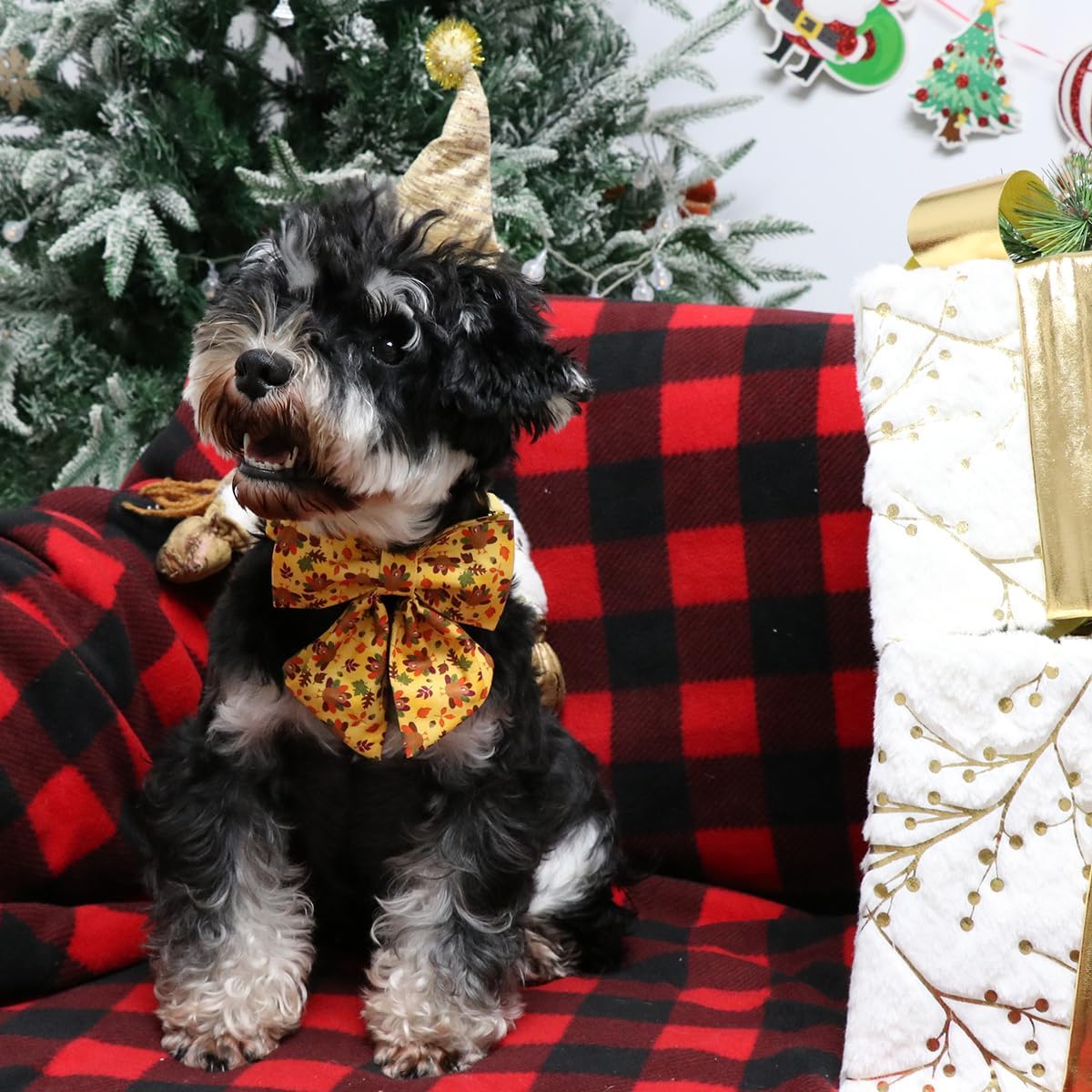 Lionet Paws Thanksgiving Day Dog Collar with Bowtie, Dogs Sailor Bow Collar with Metal Buckle for Dogs, Adjustable Comfortable Dog Collars Girl, XL, Neck 16-26 in
