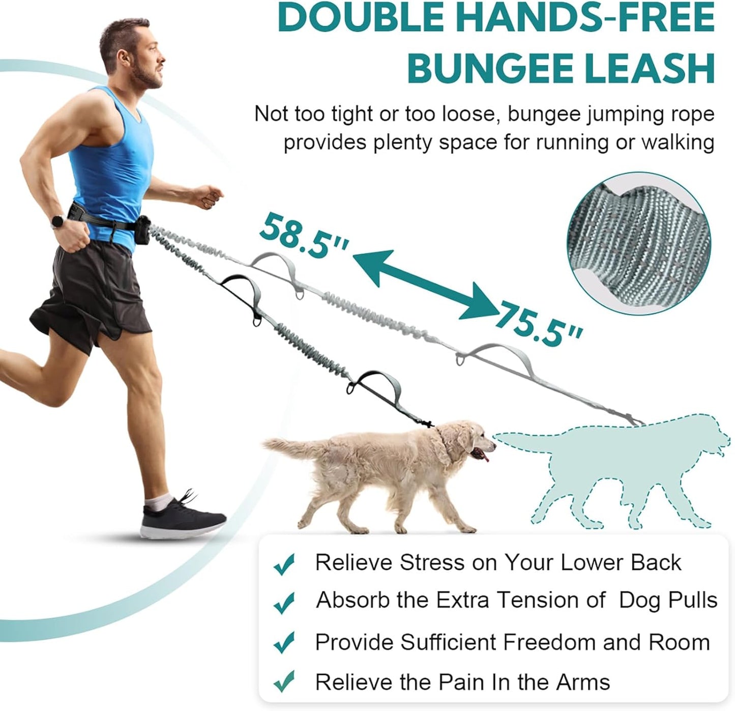 Hands Free Dog Leash with Pouch, Double Leash for Two Dogs, Retractable Bungee with Double Padded Handles, Dog Waist Leash for Dog Walking, Running Leash for Dogs, Dog Walking Accessories
