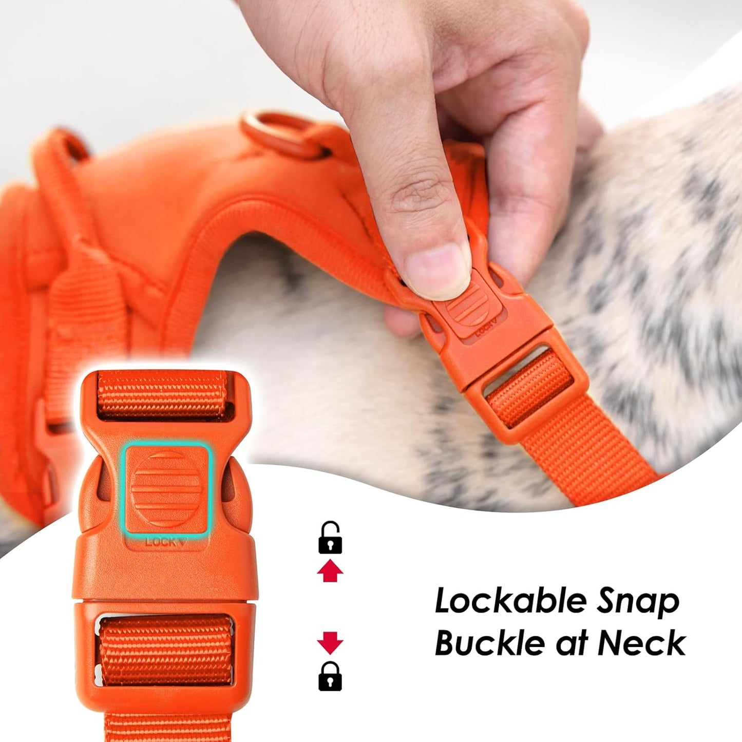 No Pull Dog Harness, Puppy Vest with Front Clip for Small Medium Large Sized Dog(Orange,XL)