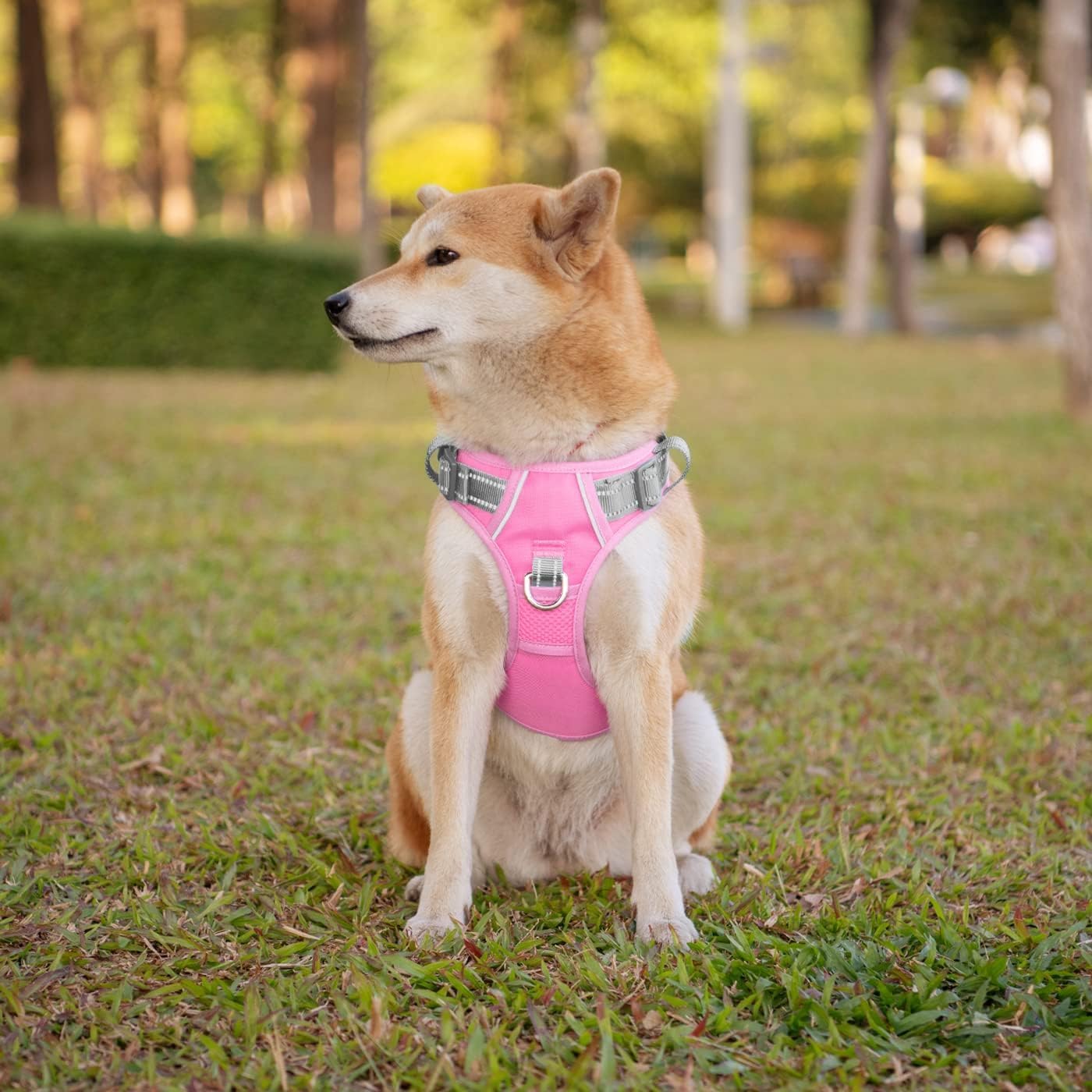 PHOEPET No Pull Dog Harness, Unique Colors Reflective Adjustable Dog Vest, with Soft Training Handle Metal Clips for Small Medium Large Dogs (Baby Pink Base & Grey Straps,L)