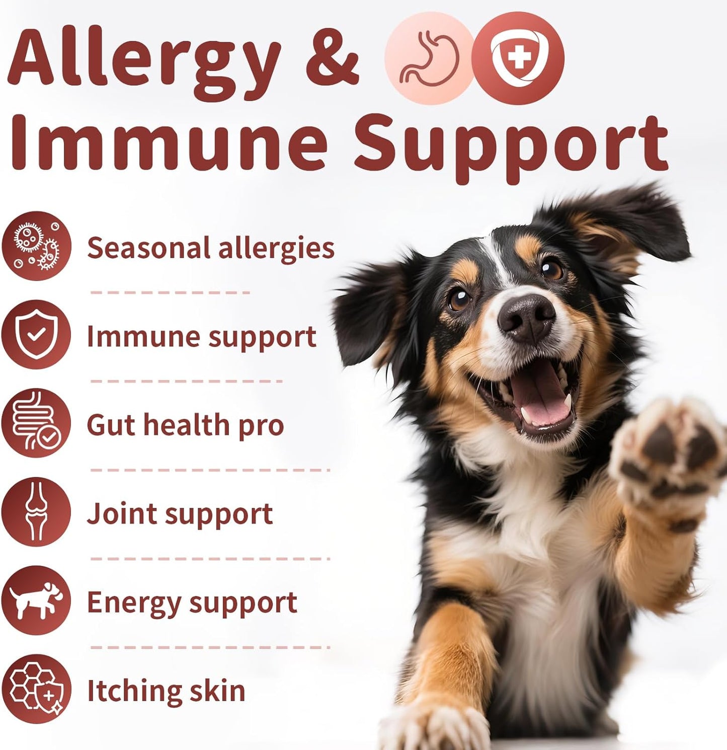 Dog Allergy Chews, Probiotics for Dog Allergy Relief - Itchy Skin and Itchy Ears - Allergy Paw Relief - Seasonal Allergies & Immune Gut Health & Joint, Energy Support, Chicken Flavor - 90 Count