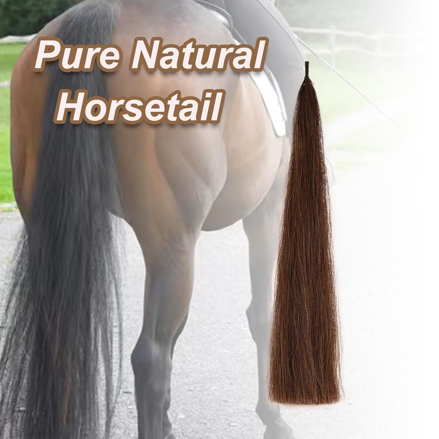 Horse Tail Extensions with Natural Loop Top, Blunt Cut Bottom, 3/8 LB 28-30 Inches Long (red Chestnut)