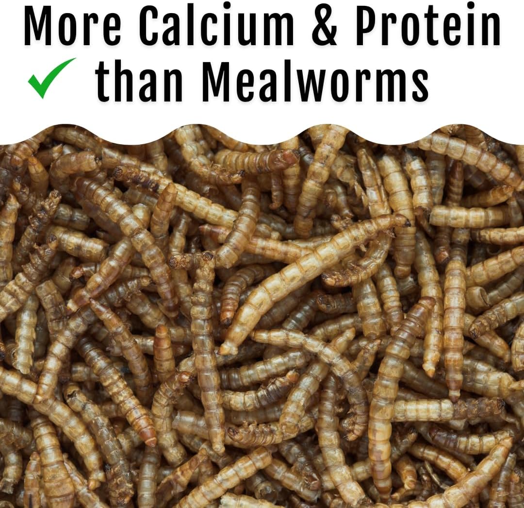 Grub Fuel Black Soldier Fly Larvae for Chickens - Nutrient-Packed BSFL, Sustainably Sourced Snack for Poultry, Rich in Protein, Calcium, Fiber, Essential Fatty Acids, USA Grown (1LB)