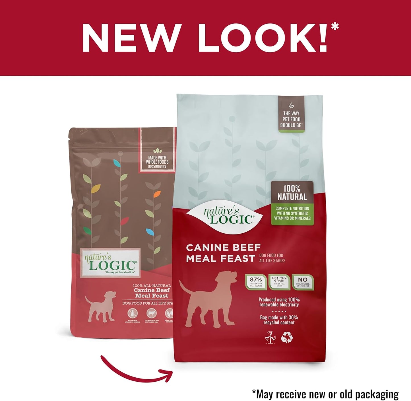 NATURE'S LOGIC Dry Dog Food - 100% Natural - No Synthetics - for All Ages, Sizes, Breeds - Free from Common Allergens, High Protein - Beef Meal Feast, 13lbs