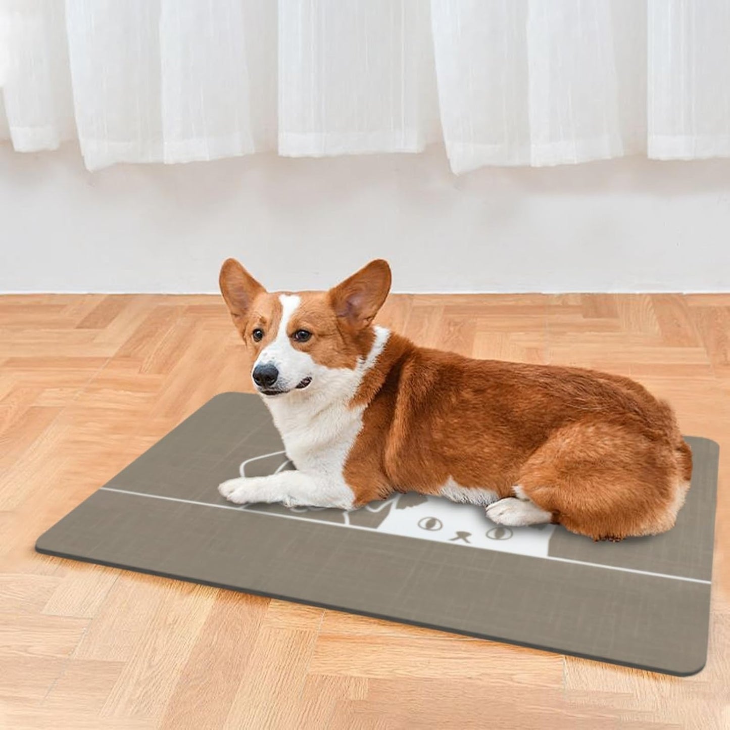 Le courant Dog Cat Food Mat,Rapid Absorbent Pet Feeding Mat,Bone Shaped Dog Placemat Water Bowl Mat with Rubber Backing,No Stains Dog Cat Mats Indoor, Pet Accessories Supplies,Brown-11.8x19.7 in