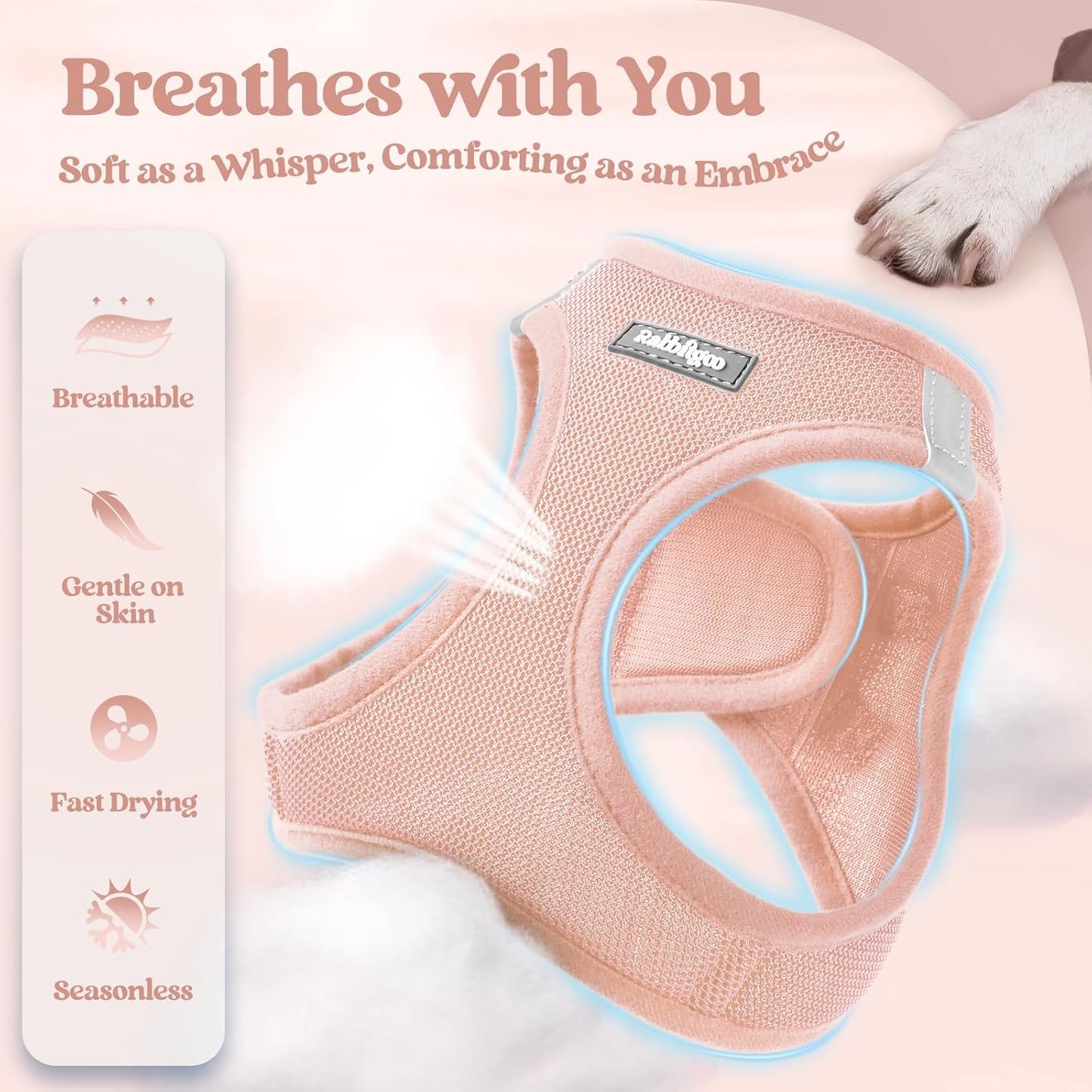 rabbitgoo Dog Harness Small Sized and Leash Set, Step in Soft Light Puppy Vest, Breathable Mesh Pet Harness, Reflective for Outdoor Safe Walking, Pink XXXS