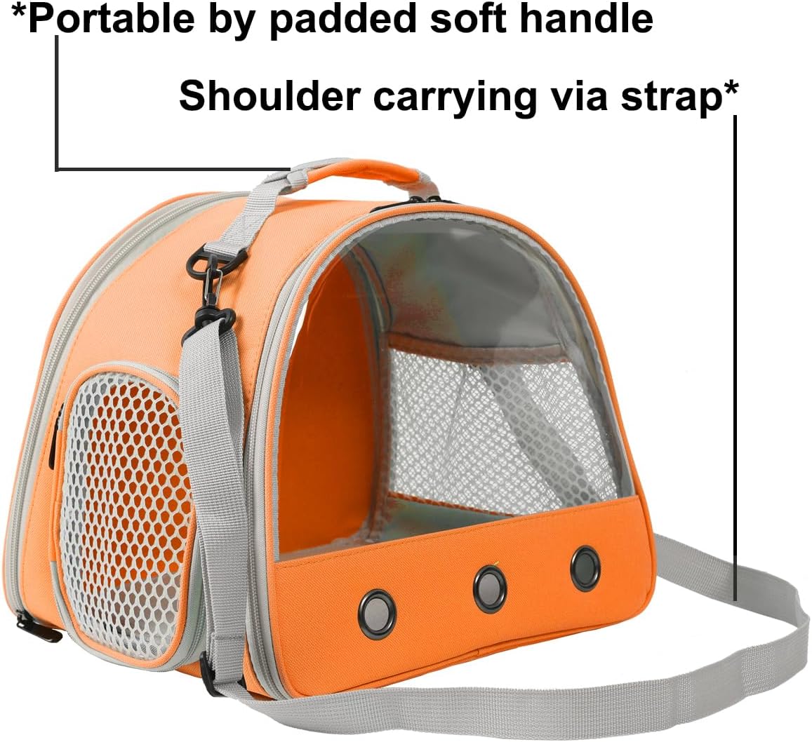 Guinea Pig Carrier,Guinea Pig Carrier for 2,Reptile Travel Carrier for Lizards Sugar Glider Hedgehog Rat Parrot Birds