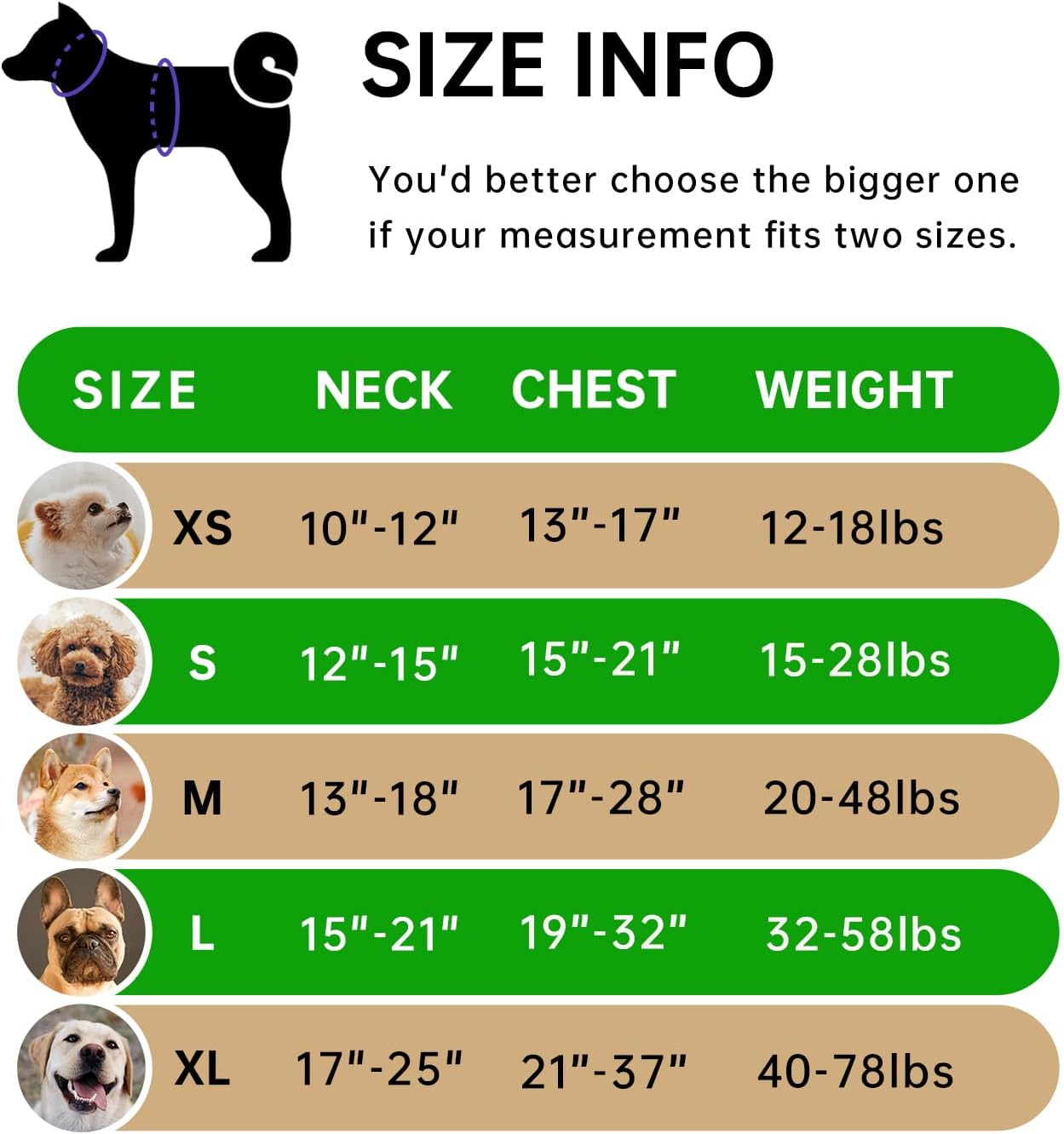 IVY&LANE No Pull Dog Harness for Medium Dogs, Dog Vest Harness with Leash, Safety Belt and Storage Strap, Fully Adjustable Harness, 360° Reflective Strip, Soft Handle (Green,M)