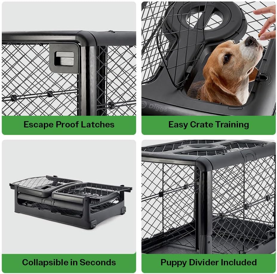 DIGGS Revol Collapsible Dog Crate with Wheels - Premium Portable Dog Crate - Safe, Stylish, and Convenient Indoor Kennel (Charcoal, Medium)