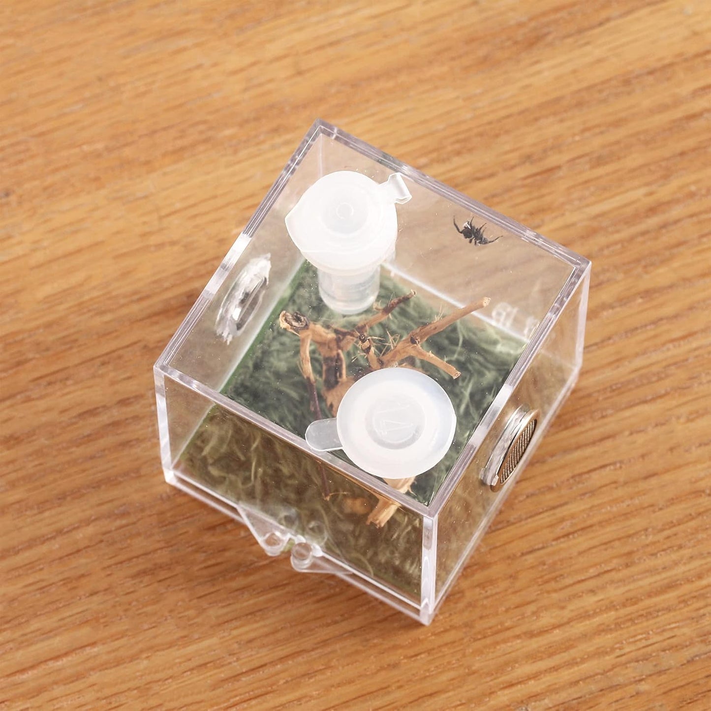 crapelles Jumping Spider Micro Big Habitat, Small Pet Insect Breeding Box, 360 Degree High Transparent Reptile Cage, Acrylic Case Mini Carrier for Amphibians, Feeding Container Enclosure Accessories