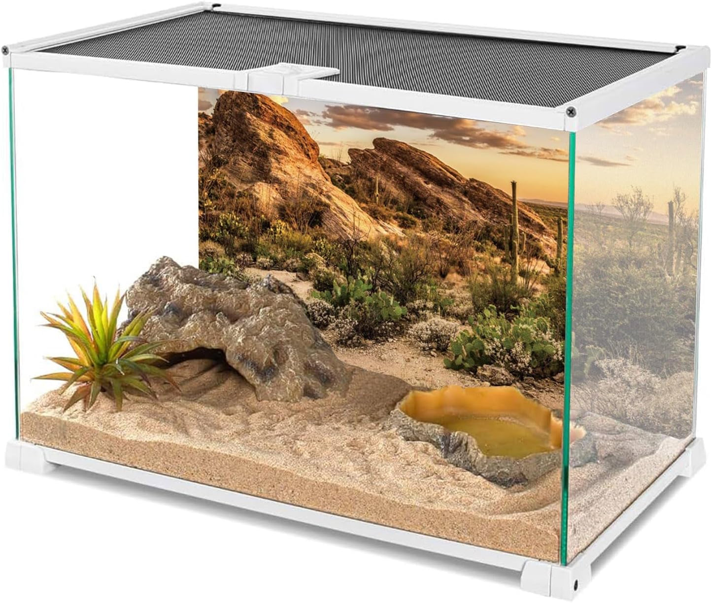 AWERT Reptile Habitat Background Blue Sky Oasis Cactus Sun and Desert Terrarium Background 72x18 inches Durable Polyester Background