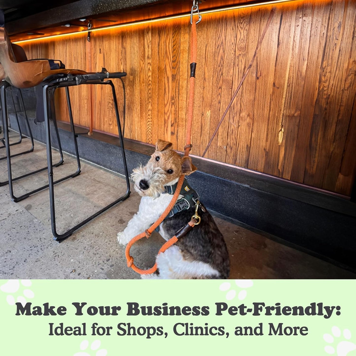 Canine Hitch- Secure Dog Leash Parking Wall Slim Hook with Clip 2 Pack - Tie Out Stainless Steel & ABS Mounting Plate for Strength - Practical Lead Management for Home & Business