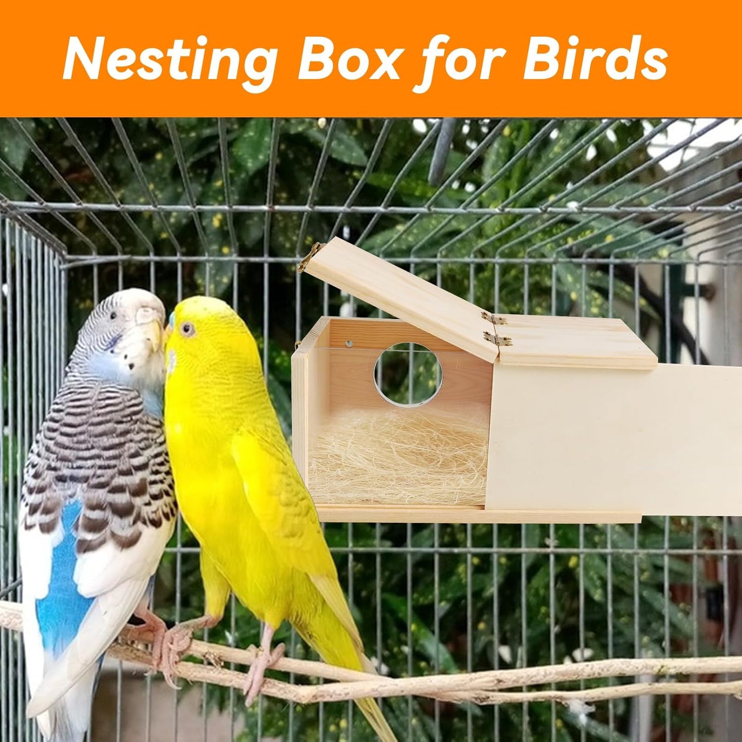 PINVNBY Nesting Box for Birds,Wooden Parakeet Nest Box with Detachable Board Transparent Visual Cockatiel House for Budgie Lovebird Conure Parrot (XL)