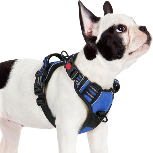 rabbitgoo Dog Harness Small Sized, No Pull Pet Harness with 3 Buckles, Adjustable Soft Padded Vest with Control Handle, Walking Reflective Pet Vest for Small Dogs, Blue, S