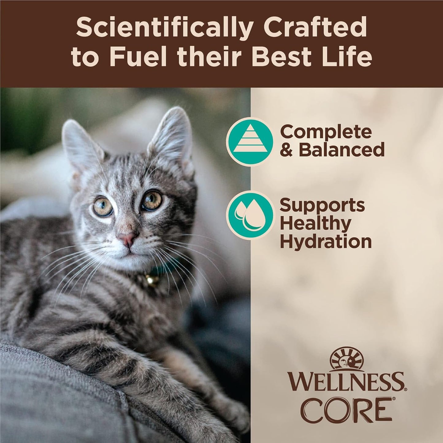 Wellness CORE Tiny Tasters Flaked Adult Wet Cat Food, Natural, Protein-Rich, Grain Free, 1.75-Ounce Pouch, 12 Pack, (Tuna & Salmon)