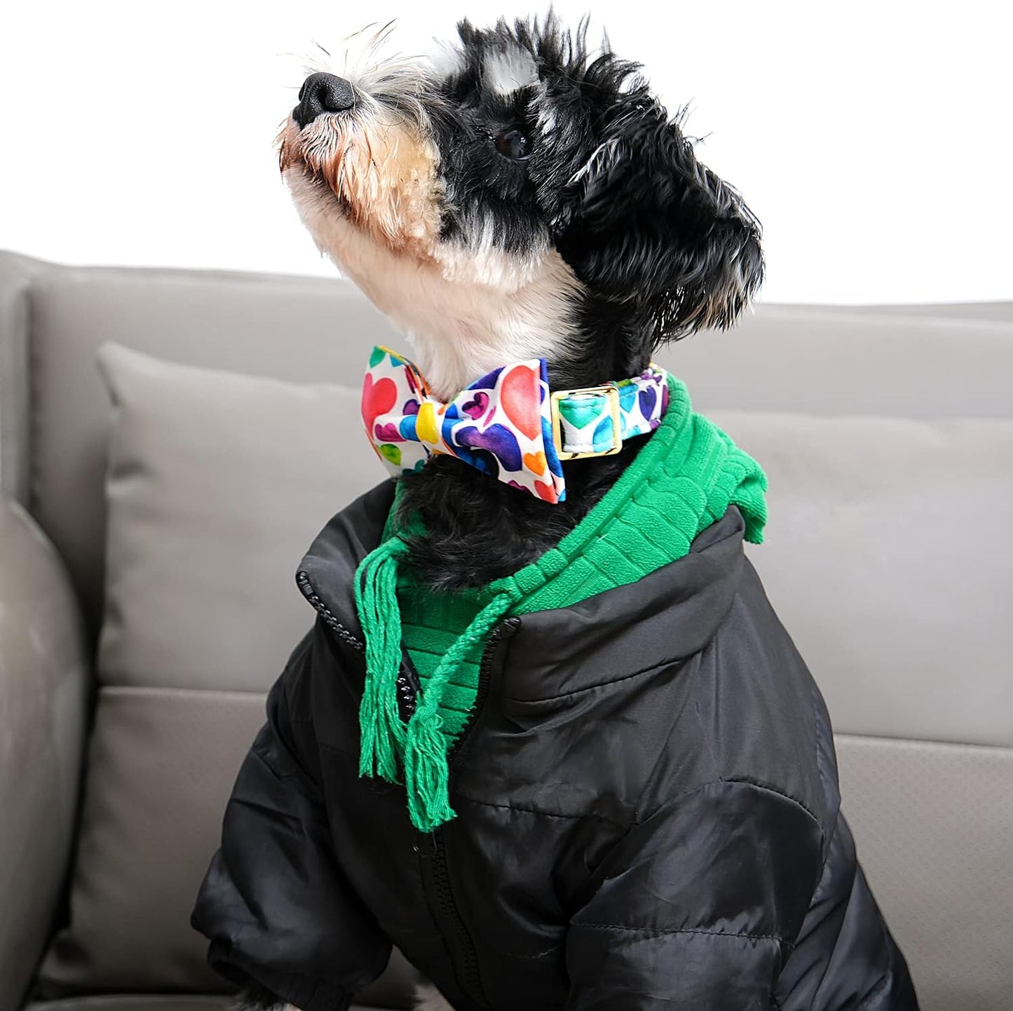 Lionet Paws Valentine's Day Dog and Cat Collar with Bowtie, Soft and Comfortable, Adjustable Collar for Puppies and Cats, Neck 8-12 inches