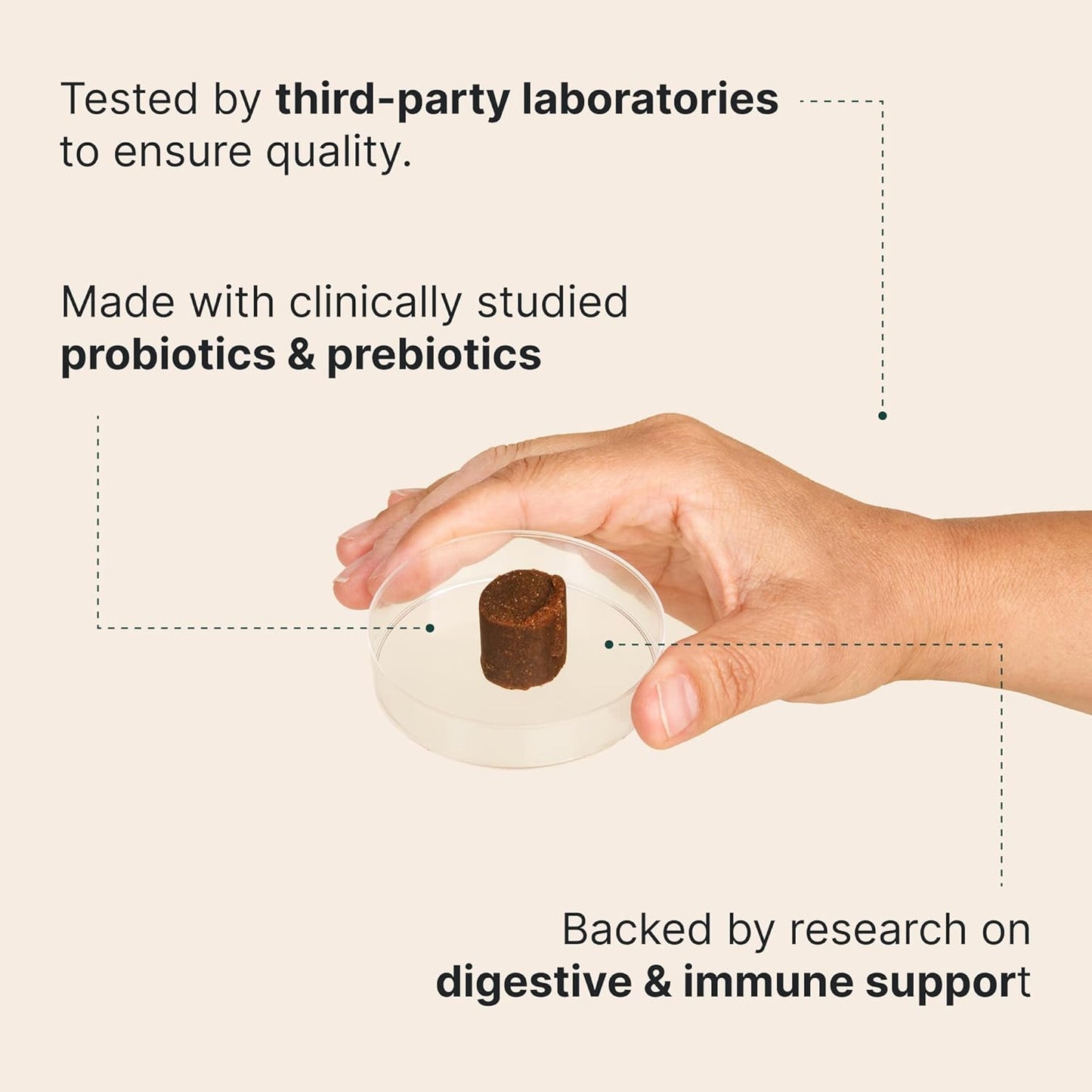 Wuffes Daily Probiotic for Dogs - Supports Digestive Health, Gut Balance, and Immune System - with Prebiotics, Marshmallow Root, and Pumpkin Powder - 60 Soft Chews
